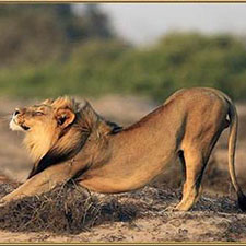 Luxury Namibia Safaris - Terrace Male near Serra Cafema Camp