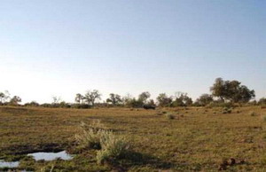 Luxury Botswana Safaris - Selinda Spillway near Zarafa Camp