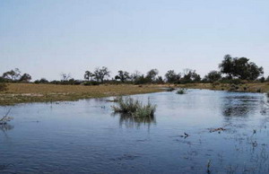 Luxury Zarafa Camp Safaris - The Selinda Spillway connects in Botswana