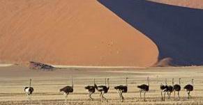 Luxury Namibia Safaris - Wine in Southern Africa