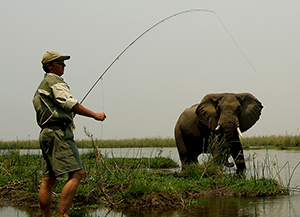 Lower Zambezi Conservation - Luxury Zambia Safaris
