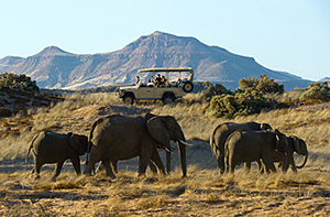 Wilderness Experiences in Namibia - Luxury Southern African Safaris