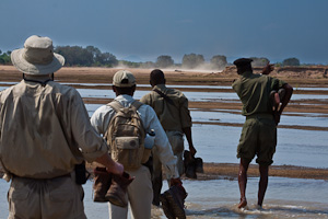 Walking Safaris in Zambia - Luxury South Luangwa Safaris