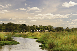 Luxury Zambia Safaris - Anabezi Tented Camp in the Lower Zambezi