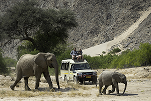 Skeleton Coast Game Drives - Luxury Namibia Safaris