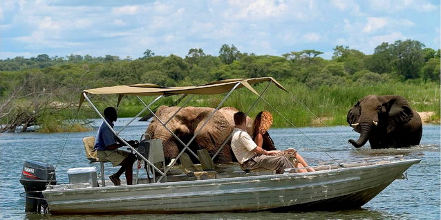
Luxury
Safari South Africa, Namibia and Botswana - Wildlife viewing by boat
