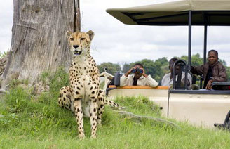 Children on safari game-drive - | Best Luxury African Safaris | Children in the Wilderness | Classic Africa