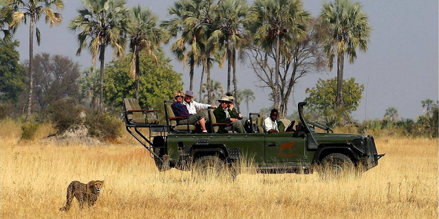 Luxury
Safari Botswana and South Africa - Cheetah sighting on safari game-drive