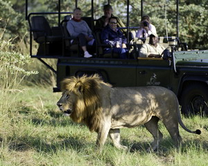 jao camp okavango delta luxury safari