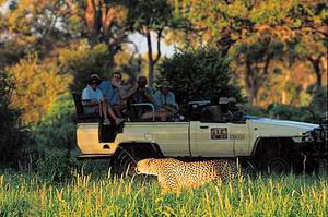 kwando safari