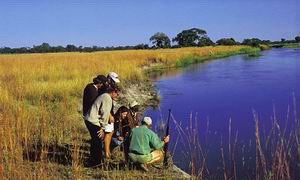 kwando chobe park luxury safari