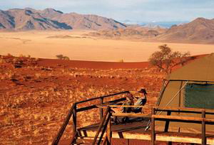 wolwedans safari