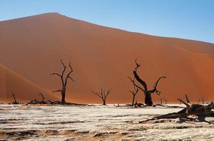 kulala desert lodge namibia luxury safaris