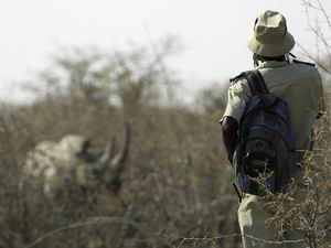 ongava private game reserve safari etosha park