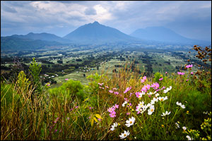 Mountain Views