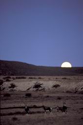 bushman's kloof wilderness reserve cederberg mountains luxury safari