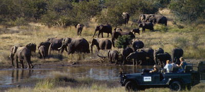 On Safari in Style | Luxury African Safari Vacations | Classic Africa - Best Luxury African Safaris