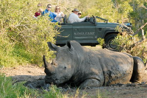 king's camp luxury safari