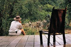 makweti safari lodge safari welgevonden reserve