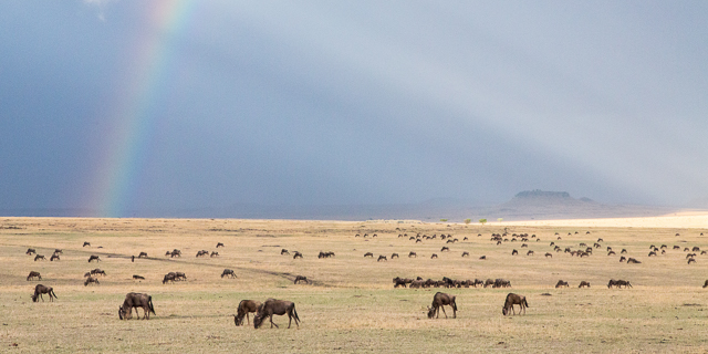 Rainbow over the Maasai Mara