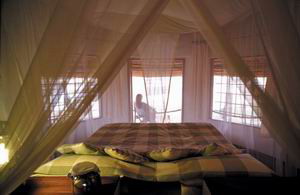 nsefu camp safari