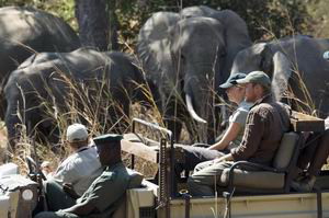 nsefu camp zambia luxury safaris