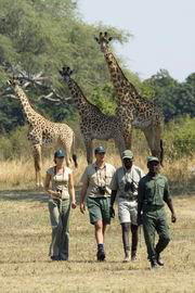 nsefu camp safari zambia