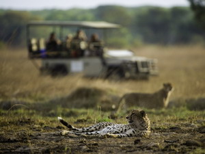 shumba camp safari kafue park