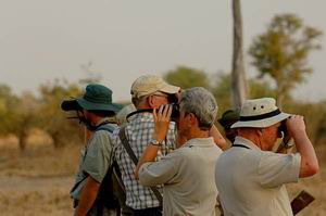 mwaleshi camp safari zambia