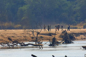 mwaleshi camp safari north luangwa