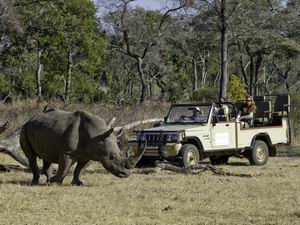 toka leya camp safari