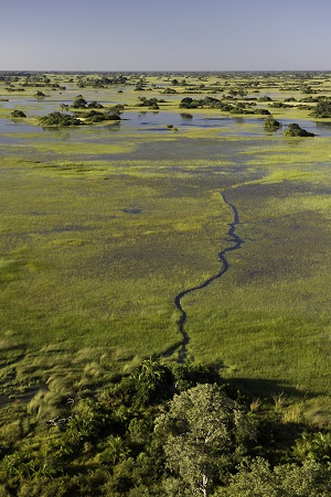 Wilderness Dawning Safari | Luxury African Safari Vacations | Classic Africa - Luxury African Safaris