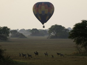 Luxury Kafue Park Safaris - Ballooning on the Busanga Plains