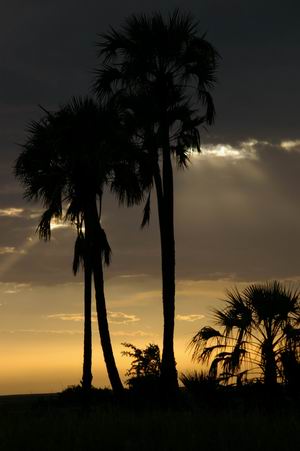 Kalahari sunset after the storm