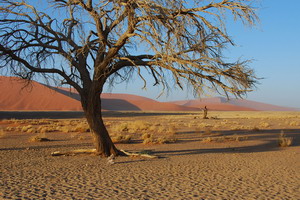 Landscape Photography - Luxury Namibia Safaris