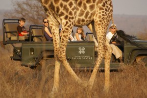 Luxury Kruger Park Safaris - Conservation in South Africa