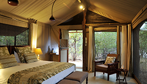 Luxury Zimbabwe Safaris - Changa Safari Camp Rooms
