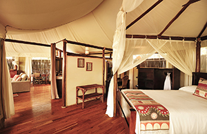 Luxury Lower Zambezi Safaris - Anabezi Tented Camp Room