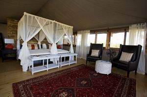 toka leya camp zambia luxury safaris